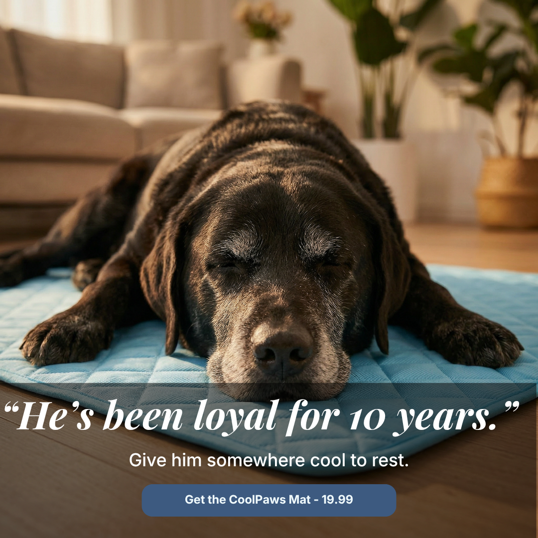 CoolPaws™ Self-Cooling Mat