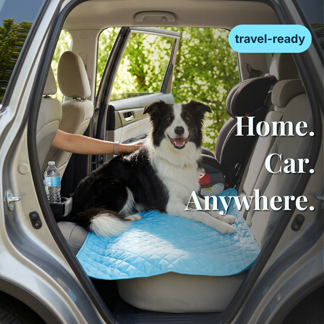 CoolPaws™ Self-Cooling Mat