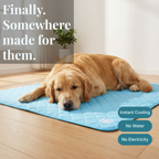 CoolPaws™ Self-Cooling Mat